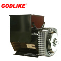 Godlike Brand Three Phase Blushless AC Alternator (JDG274)